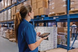 Gestion des articles Software Versandhandel COSYS